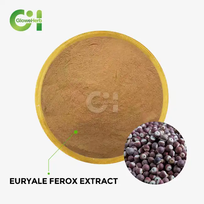 Euryale ferox extract
